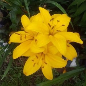 Meet your Posher, Anita